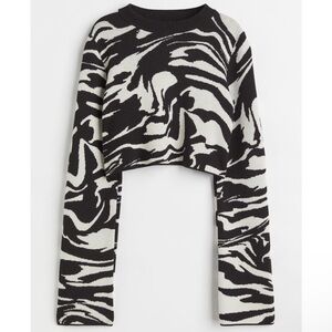 H&M Zebra Pattern Knit Sweater